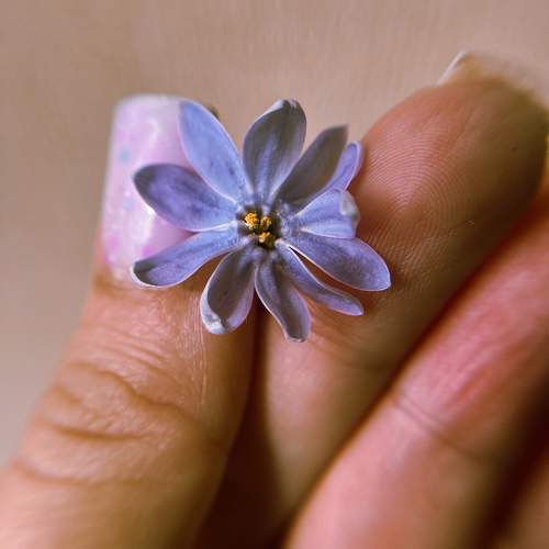 Photo #11023650
