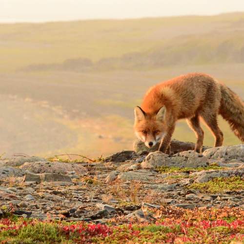 Photo #11023726