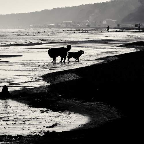 Photo #11023915