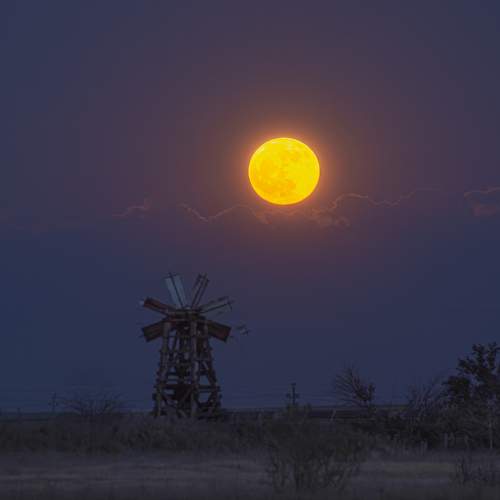 Photo #11024074