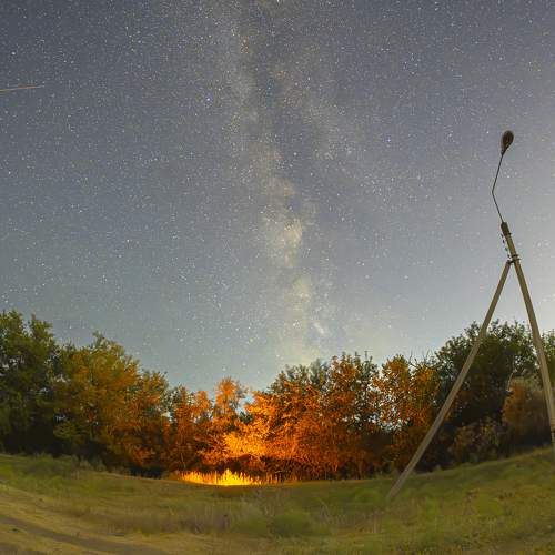 Photo #11024107
