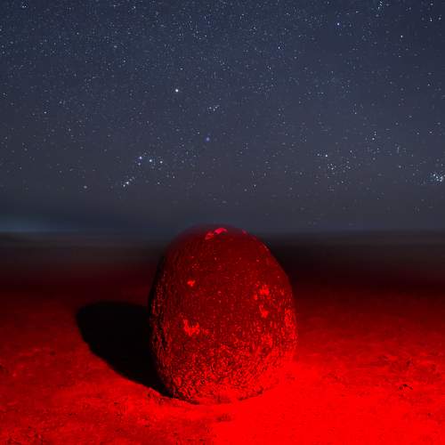 Photo #11024120