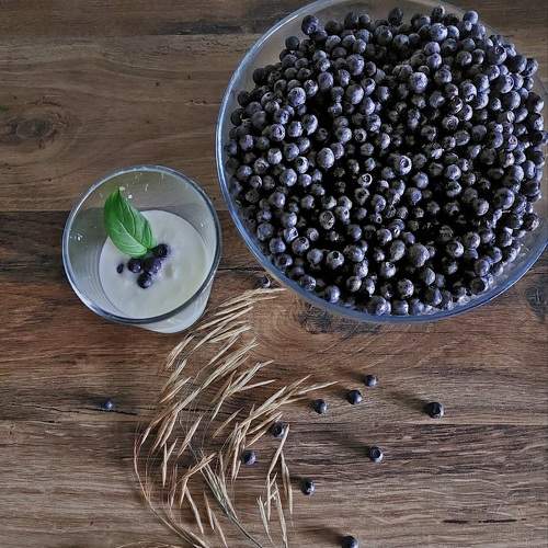 Photo #11024193