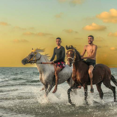 Photo #11024397