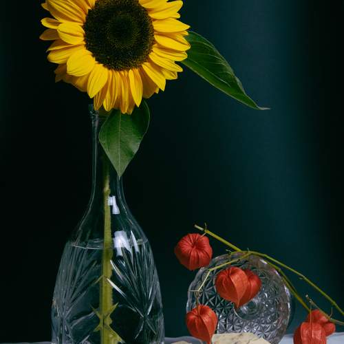 Photo #11024634