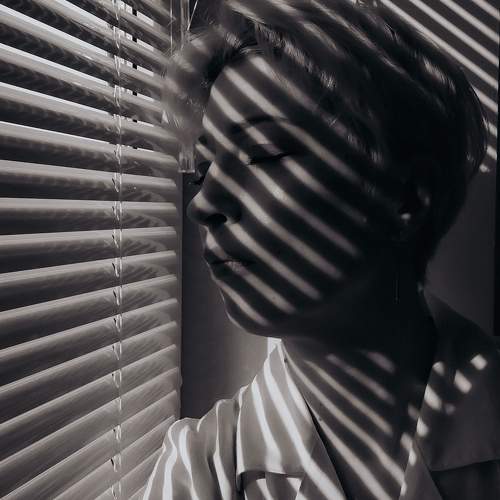 Photo #11024665