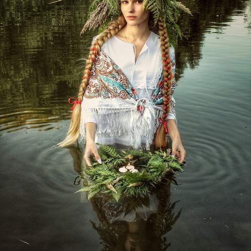 Photo #11024867