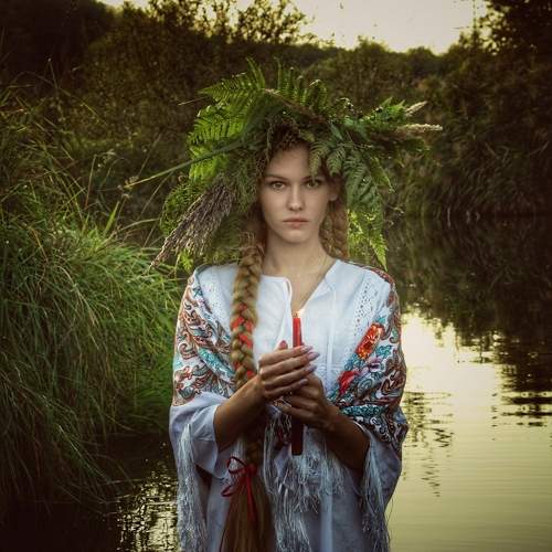 Photo #11024868