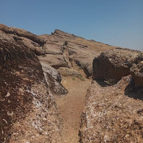 Photo #11024876