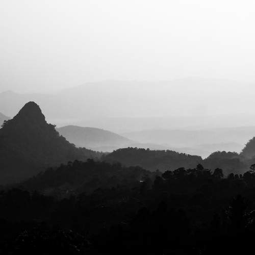 Photo #11024934