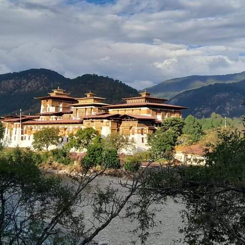 Photo #11024994