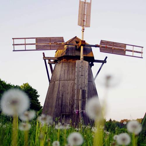 Photo #11025321