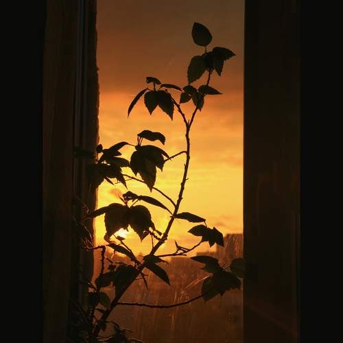 Photo #11025512