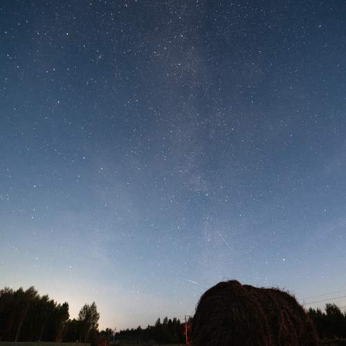 Фотография #11025542