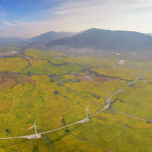 Photo #11025589