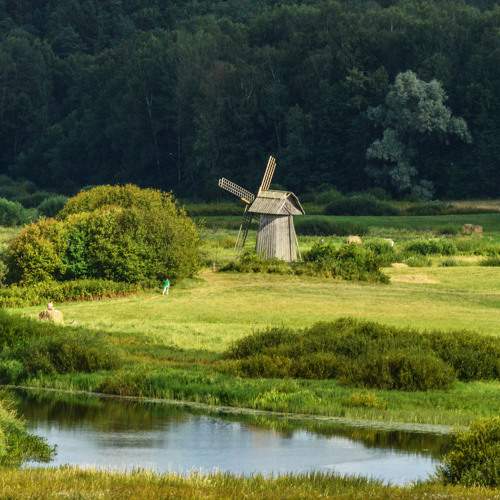 Photo #11025785