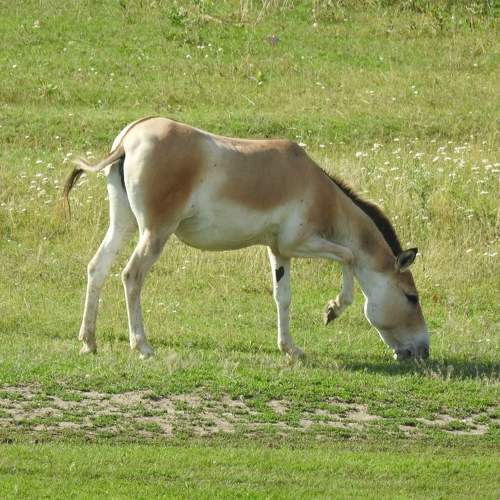 Photo #11025809