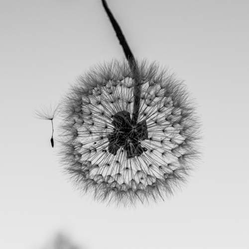 Фотография #11025927