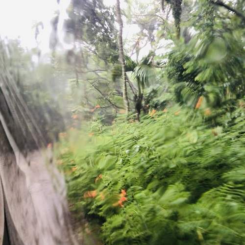 Photo #11026001