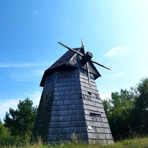 Photo #11026240