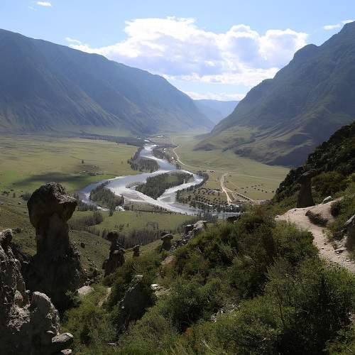 Photo #11026266