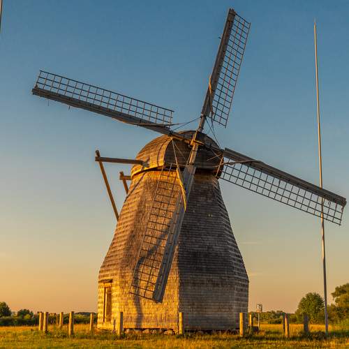 Photo #11026374