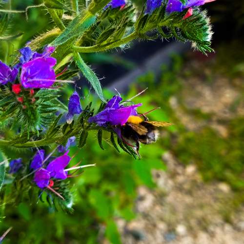 Photo #11026549