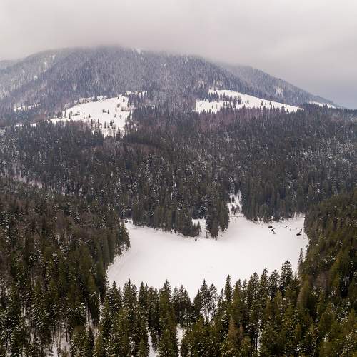 Photo #11026810