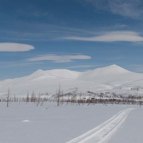 Photo #11026838