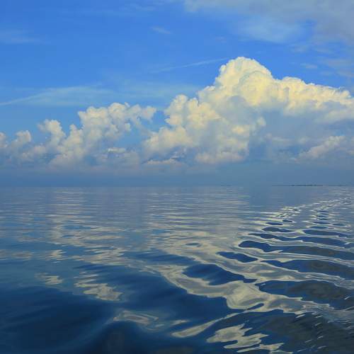 Photo #11026925