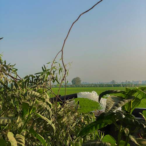 Photo #11026963