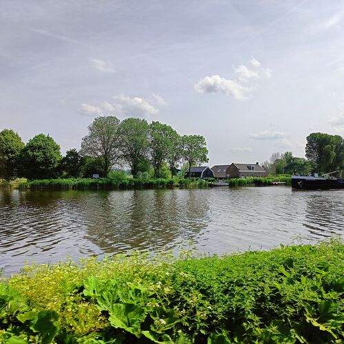 Photo #11027159