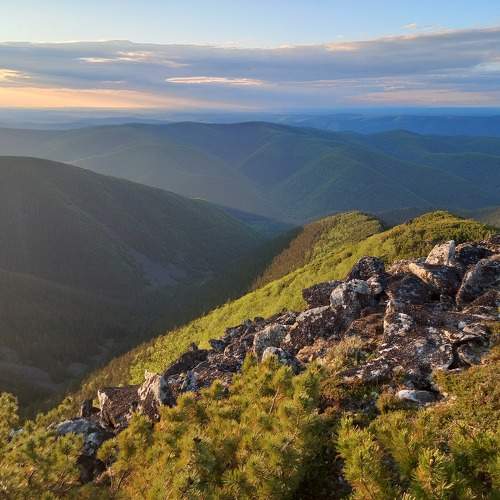 Photo #11027181