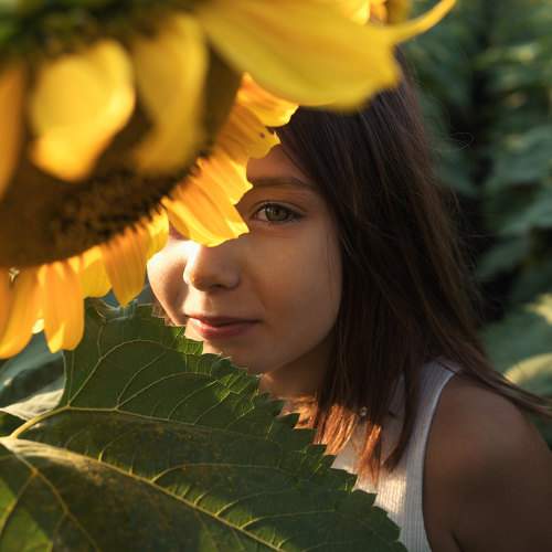 Photo #11027196