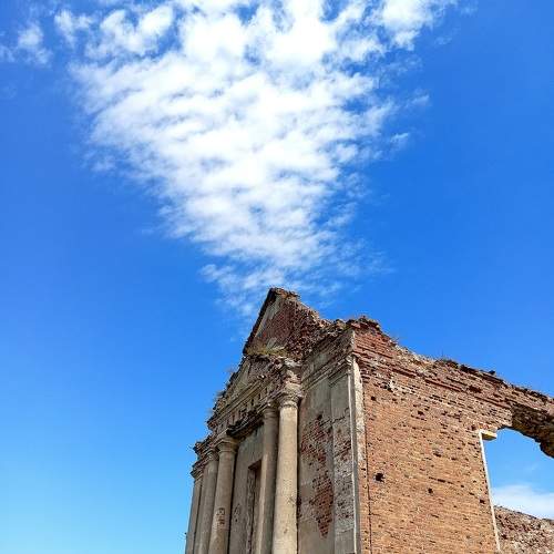 Photo #11027495