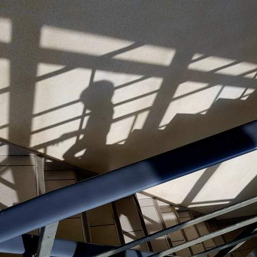 Photo #11027702