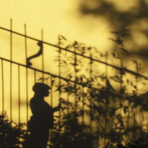 Photo #11027898