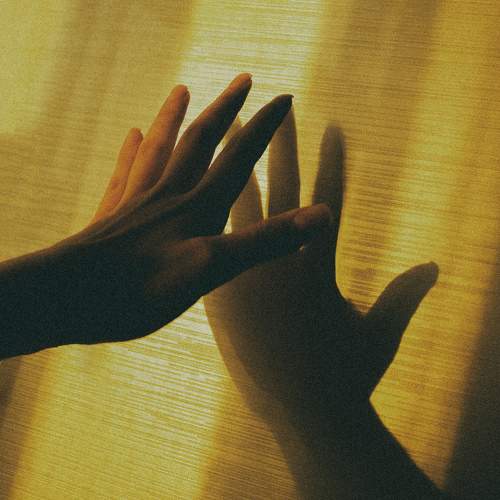 Photo #11027975