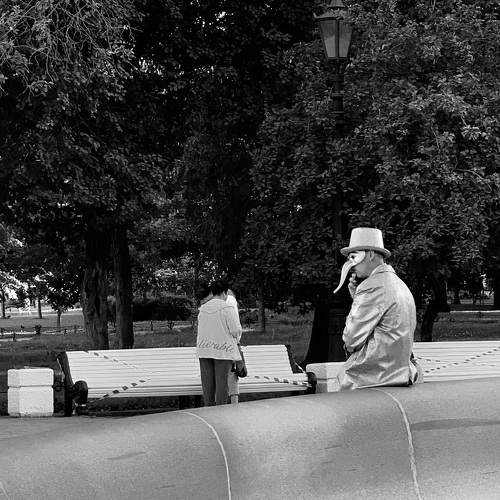 Photo #11027982