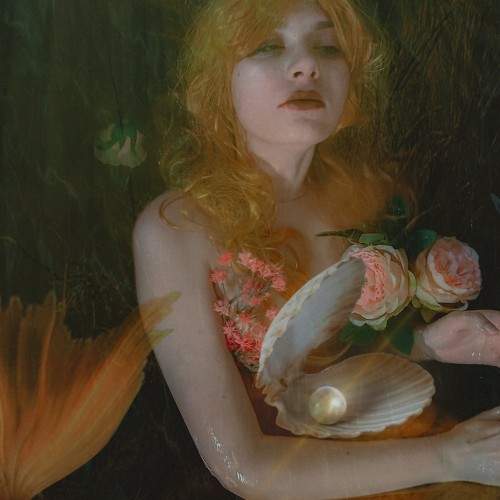 Photo #11028066