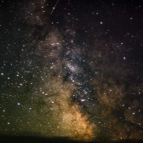 Photo #11028152