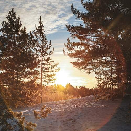 Photo #11028332