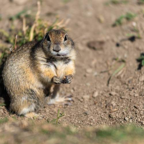 Photo #11028333
