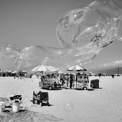Photo #11028376