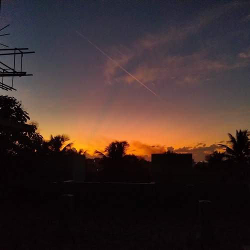 Photo #11028601