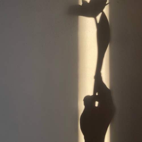 Photo #11028830