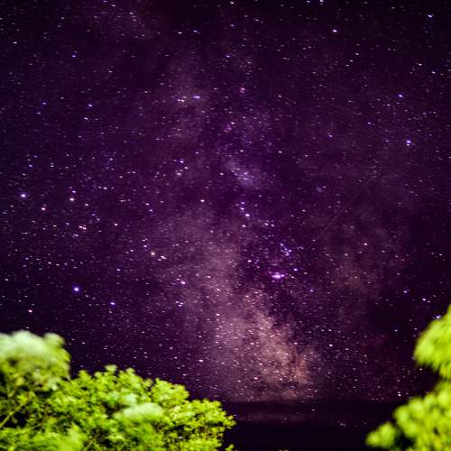 Photo #11029224