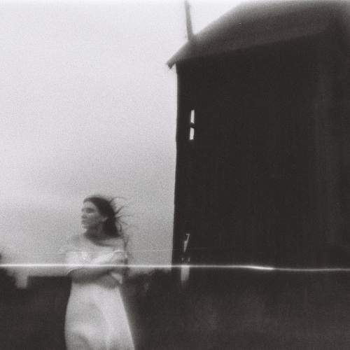 Photo #11029296