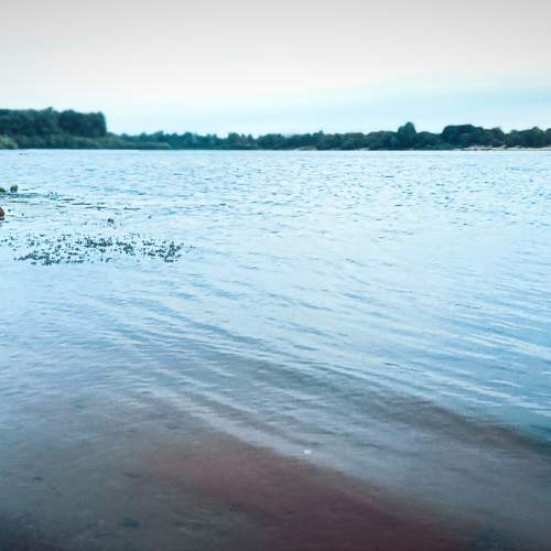 Photo #11029429