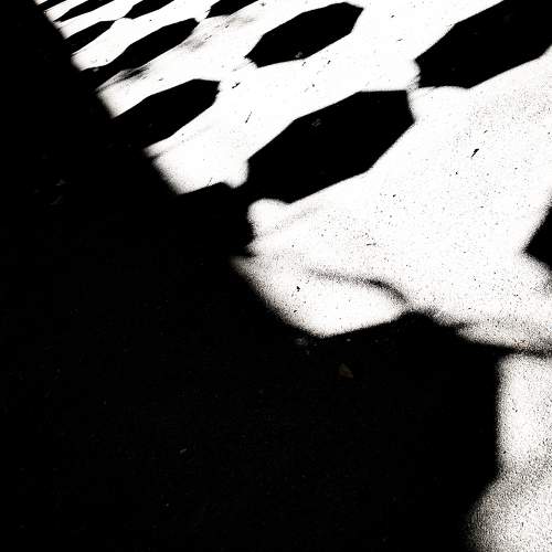 Photo #11029561